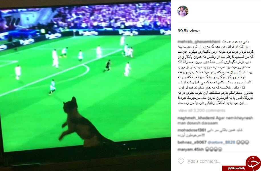 اینستاگردی