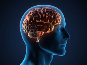 مغز انسان سیستم پاکسازی دارد