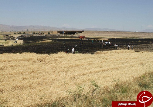 آتش سوزی گسترده در گندمزارقزوین