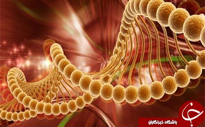 جدال با سرطان از 3 نمای خیلی نزدیک/ وقتی 