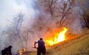 آتشی که سهل انگاری گردشگران باعثش شد