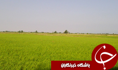 تجربه هوای صاف و ابری