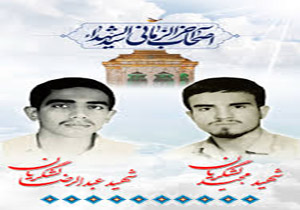 شهادت دو «سرباز گمنام» به روایت پدر