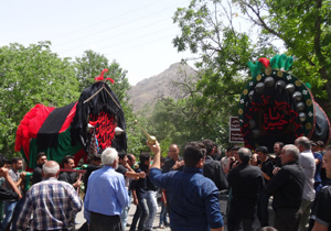 آیین نخل گردانی در نیاسرکاشان اجرا شد