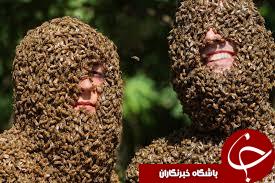 صورتی با یک کندوی عسل+10 عکس