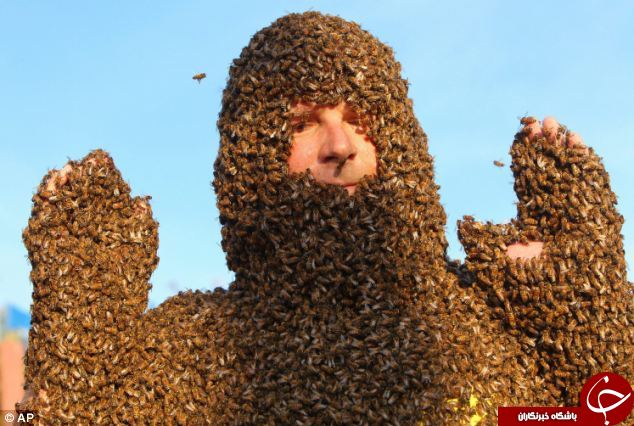 صورتی با یک کندوی عسل+10 عکس