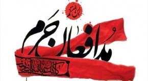 سربازان تیپ زینبیون تا خشک شدن ریشه تکفیری&zwnj;ها آرام نخواهند نشست