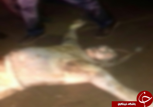 بسته خبری////////////