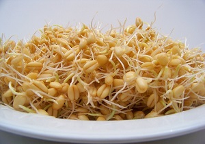مصرف روزانه و مرتب جوانه گندم به رفع کم خوابی و تقویت حافظه کمک می کند