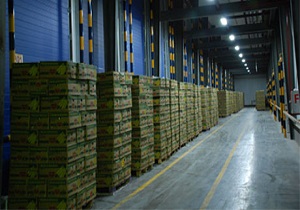 صدور مجوز راه اندازی سردخانه 120 هزار تنی در اردبیل