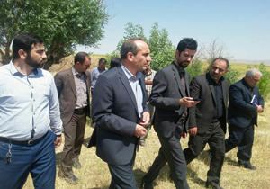 بازدید مدیر کل منابع طبیعی و آبخیزداری از طرحها و پروژه ها