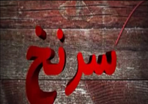 غیر استاندارد بودن گوشی های تلفن همراه قاچاق + فیلم