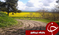 ادامه هوای صاف و افزایش نسبی دما