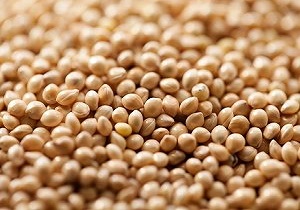 در سال 95 چه میزان ارزن وارد کشور شده است ؟