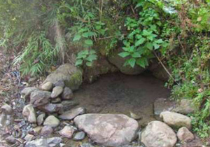 خشک شدن نیمی از چشمه های سمیرم