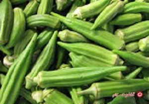 بامیه را با خواصش  بشناسید