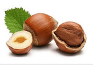 فندق تازه دارای خواص درمانی