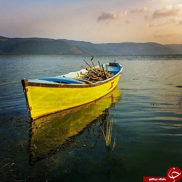شگفتی طبیعت به روایت نشنال جئوگرافی