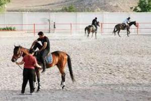 تکمیل مجتمع سوارکاری لرستان تا مردادماه