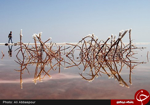 روی سرخ دریاچه ارومیه