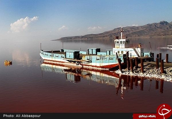رنگ &laquo;چی&zwnj;چست&raquo; خونین شد! + تصاویر حیرت&zwnj;انگیز