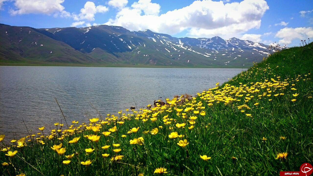 گوشه&zwnj;ای از بهشت در دامنه کوهستان باغرو + تصاویر