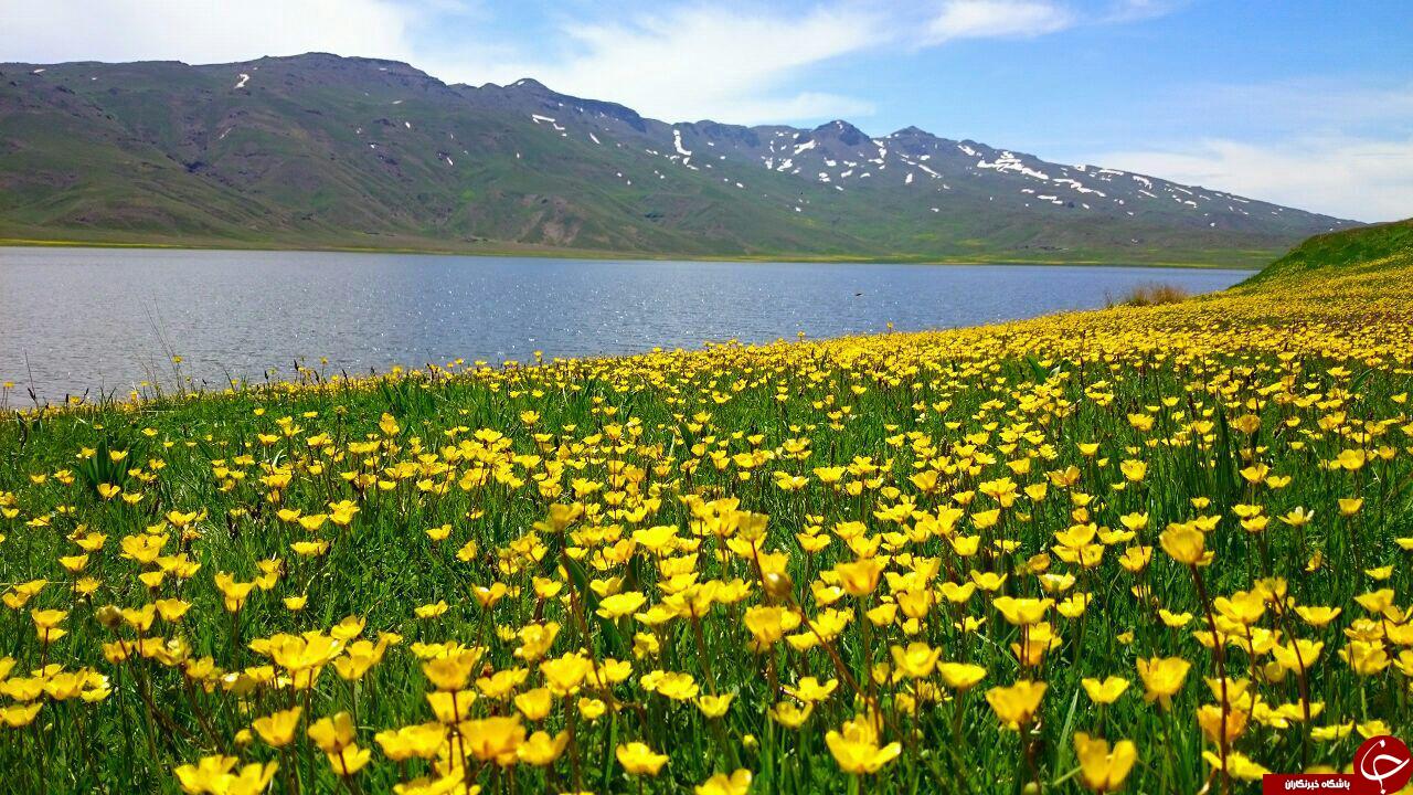 گوشه&zwnj;ای از بهشت در دامنه کوهستان باغرو + تصاویر