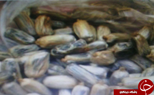ردیابی بسته های مشکوک در معده مسافر مرموز+ عکس