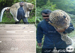 دو سال حبس برای عامل کشتار پلنگ+ تصاویر