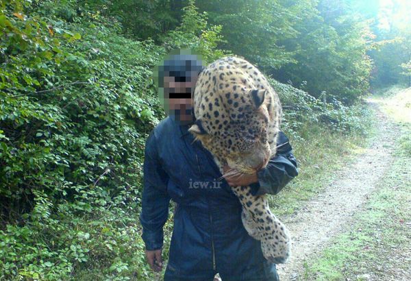 دو سال حبس برای عامل کشتار پلنگ+ تصاویر