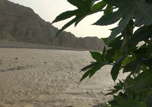 طغیان رودخانه کاجو/ ارتباط 40 روستا قطع شد