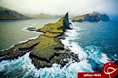 جزیره خوشبختی&laquo;گوسفندها&raquo; اینجاست +عکس