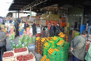صادرات روزانه 500 تن میوه از ارومیه