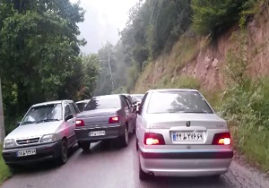 فرهنگ عجیب ترافیکی در جنگل! + فیلم