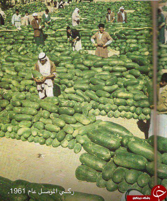 تصاویر زیرخاکی و گمشده در تاریخ +10عکس