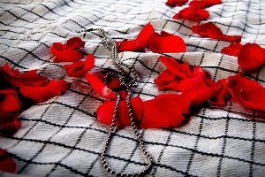 اشتیاق شاعران برای پرواز سرخ
