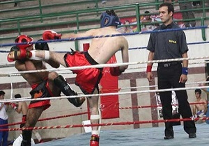 رزمی کاران کردستانی برجایگاه سوم کشوری