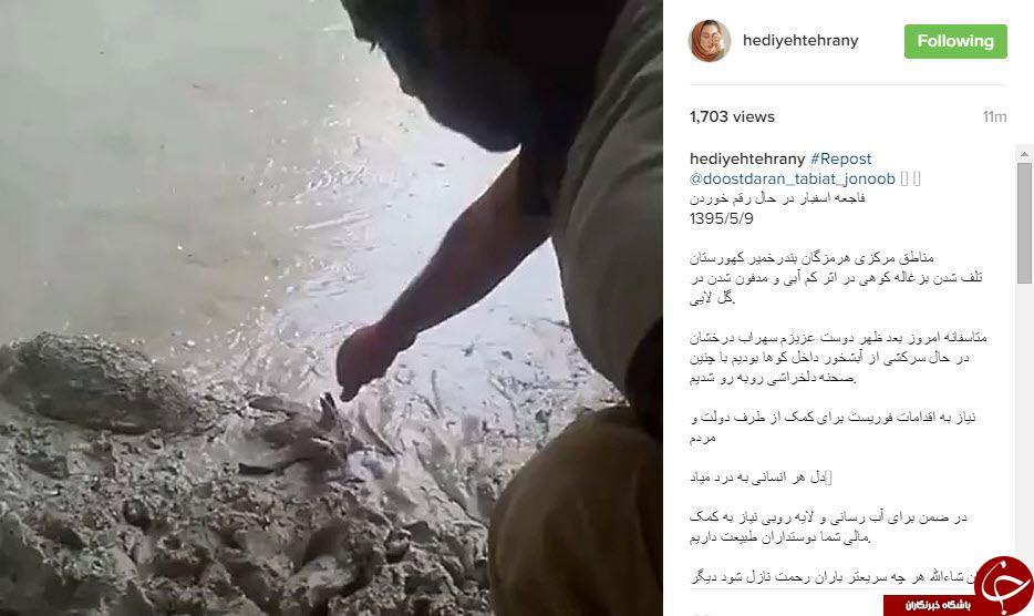 اینستاگردی
