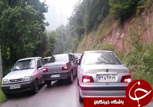 شهروندخبرنگار:فرهنگ عجیب ترافیکی در جنگل! + فیلم