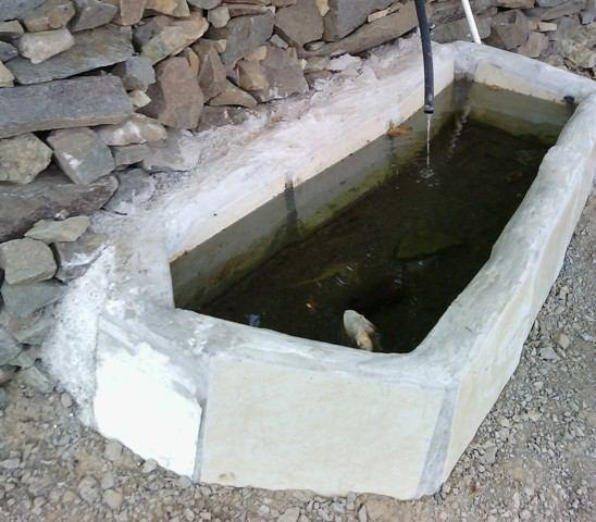 احداث آبشخور و لایروبی چشمه ها از سوی طبیعت دوستان
