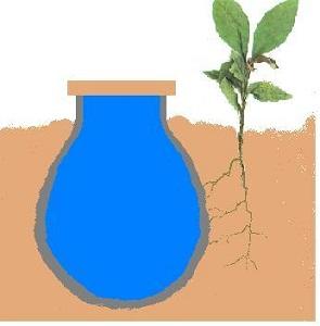 طراحی آبیاری کوزه ای توسط پژوهشگر ارومیه ای