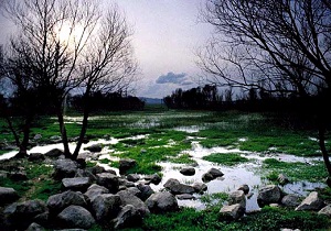 جریان زندگی در سراب
