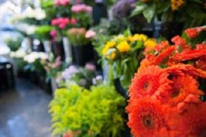 آغاز به کار نمایشگاه ملی گل و گیاه در ارومیه