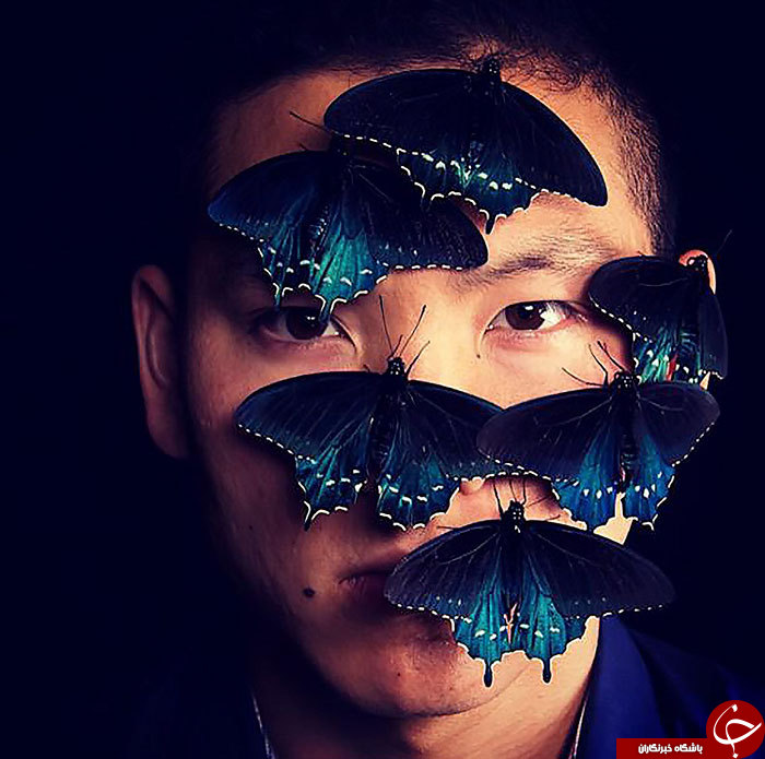 گونه های پروانه نادر +تصاویر
