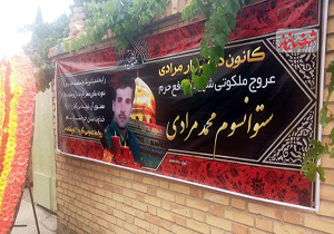 ستوان سوم "محمد مرادی" به جمع شهدای مدافع حرم پیوست