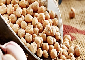 نخودکرمانشاه؛محصولی استراتژیک