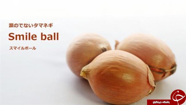 با این پیاز به جای اشک ریختن لبخند بزنید +عکس