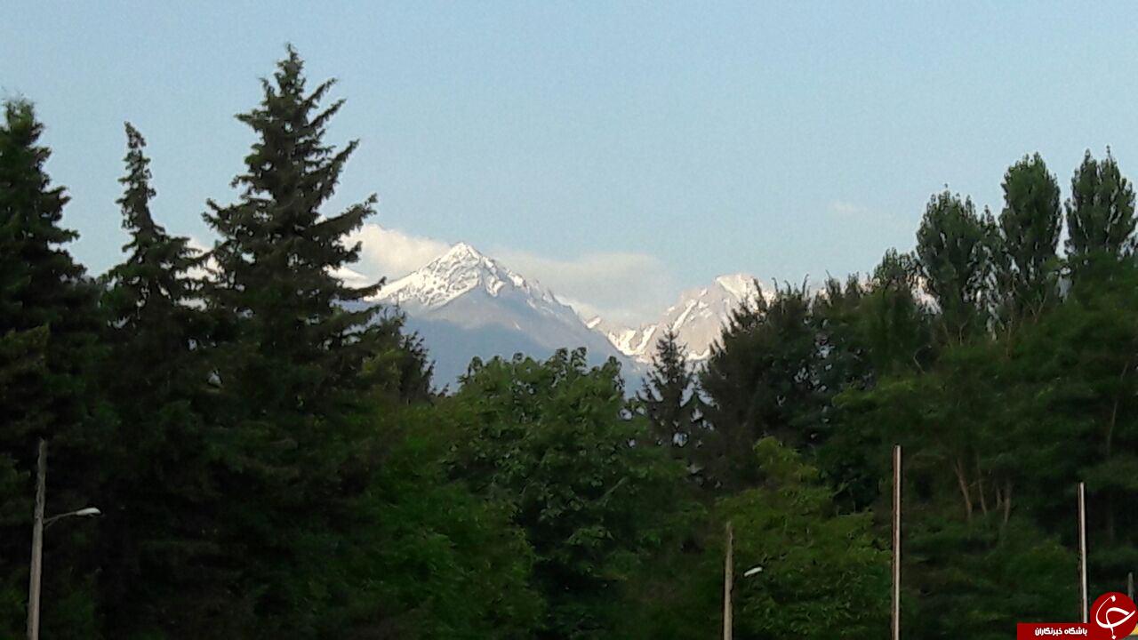 گزیده عکس های خبری