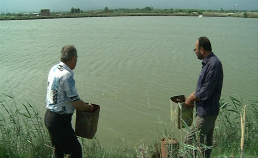 دوستی دو کارآفرین ؛ از پرورش بچه ماهی تا دام سبک و ماکیان در بندرگز گلستان