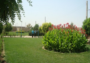 کم شدن استفاده از سموم شیمیایی در فضای سبز ارومیه
